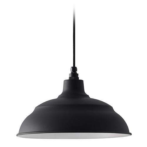 RLM Black Barn Light with Warehouse Shade by Capital Lighting
