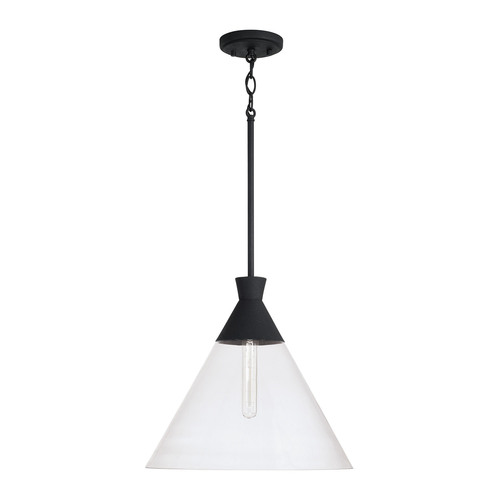 HomePlace by Capital Lighting Paloma 15-Inch Pendant in Textured Black by Capital Lighting 350311XK