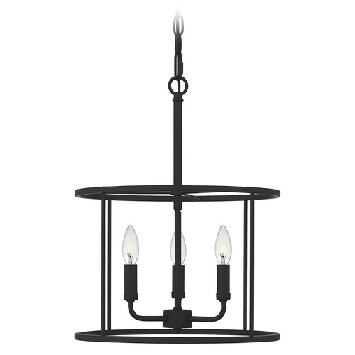 Abner 14-Inch Pendant in Earth Blackby Quoizel Lighting