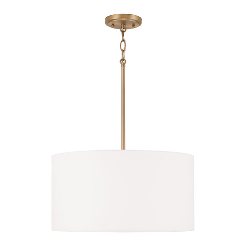 HomePlace by Capital Lighting Alan 18-Inch Pendant in Aged Brass by HomePlace by Capital Lighting 314632AD-659