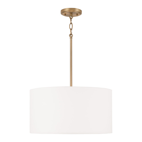 Alan 18-Inch Pendant in Aged Brass by HomePlace by Capital Lighting