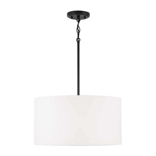 HomePlace by Capital Lighting Alan 18-Inch Pendant in Matte Black by HomePlace by Capital Lighting 314632MB-659