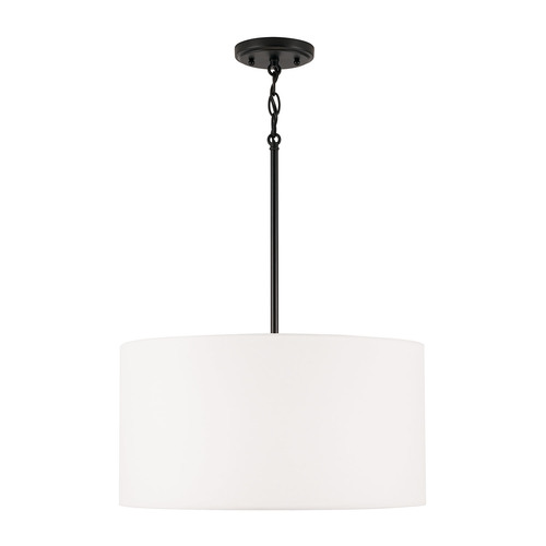 Alan 18-Inch Pendant in Matte Black by HomePlace by Capital Lighting