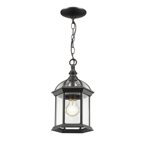 Annex Black Outdoor Hanging Light by Z-Lite
