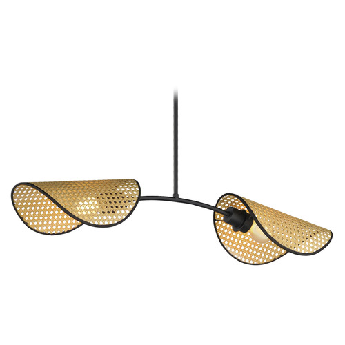 Bonnet Black Linear Light by Maxim Lighting