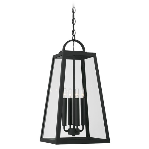 HomePlace by Capital Lighting Leighton 23-Inch High Black Outdoor Hanging Light by HomePlace by Capital Lighting 943744BK