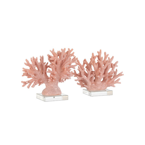 Fire Coral Sculpture Set of 2 by Currey & Company