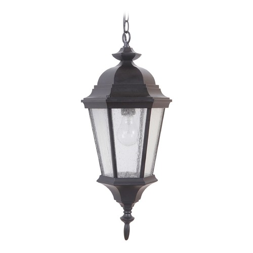 Craftmade Lighting Chadwick 20-Inch Outdoor Hanging Light in Midnight by Craftmade Lighting Z2911-11