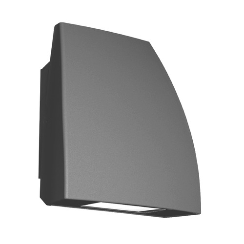 Endurance Architectural Graphite LED Security Light by WAC Lighting