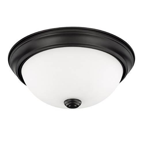 Independent Matte Black 2-Light Flush Mount by HomePlace by Capital Lighting