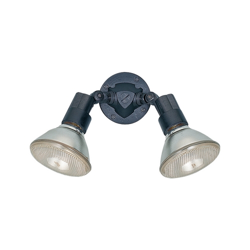 Swivel Security Light in Black by Generation Lighting