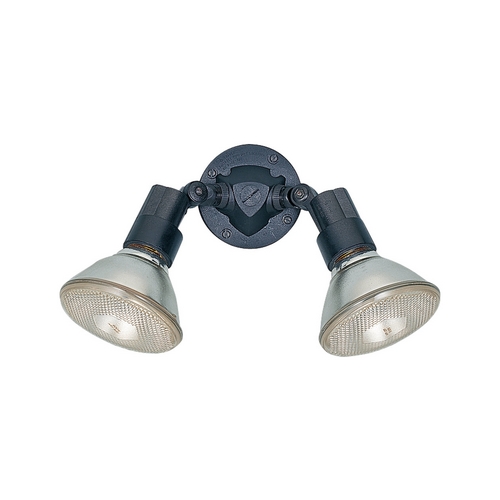 Generation Lighting Swivel Flood Light in Black by Generation Lighting 8642-12