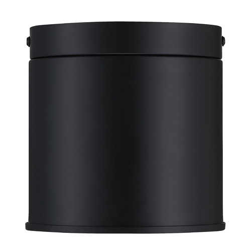 Designers Fountain Fleur Oasis Matte Black Flushmount Light