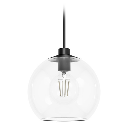 Hunter Fan Company Xidane Matte Black Pendant Light with Globe Shade