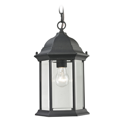 Elk Lighting Elk Lighting Spring Lake Matte Textured Black Outdoor Hanging Light 8601EH/65