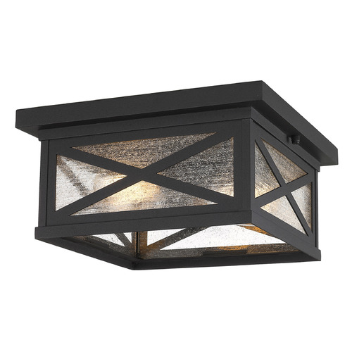 Z-Lite Brookside Black by Z-Lite 583F-BK