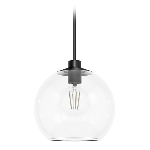 Hunter Fan Company Xidane Matte Black Pendant Light with Globe Shade