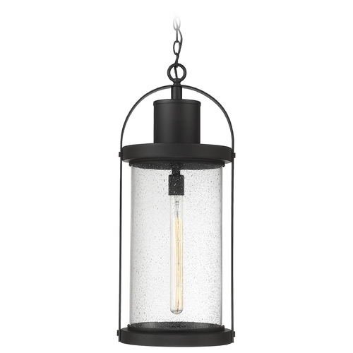 Roundhouse Black Outdoor Hanging Light by Z-Lite