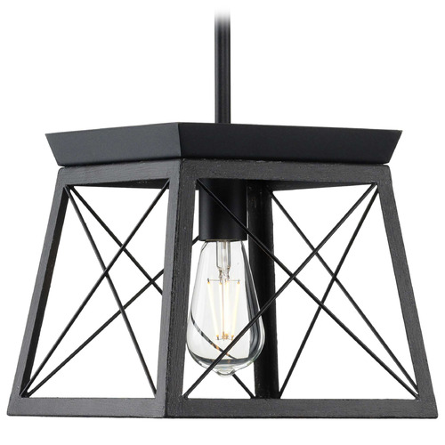 Progress Lighting Briarwood Textured Black & Rustic Ceruse Black Mini-Pendant Light