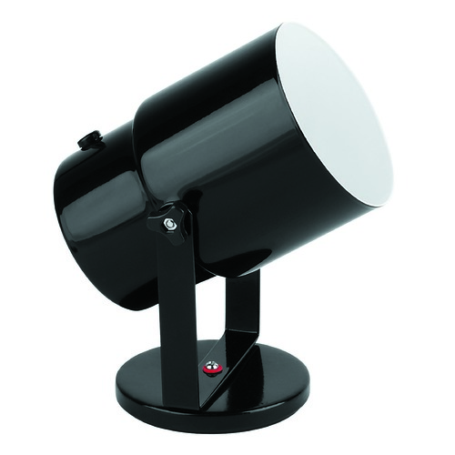 Lite Source Lighting Black Adjustable Up Light Lamp by Lite Source Lighting LS-113BLK