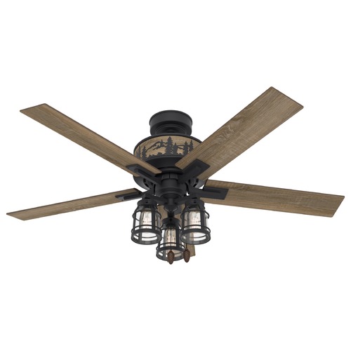 Vista Natural Iron LED Ceiling Fan by Hunter Fan Company