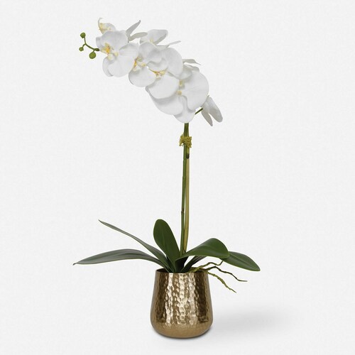 Cami Orchid in Brass Planter Pot by Uttermost Lighting