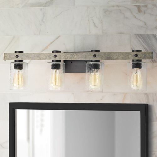 Progress Lighting Gulliver Graphite 4-Light Bathroom Light by Progress Lighting P300126-143