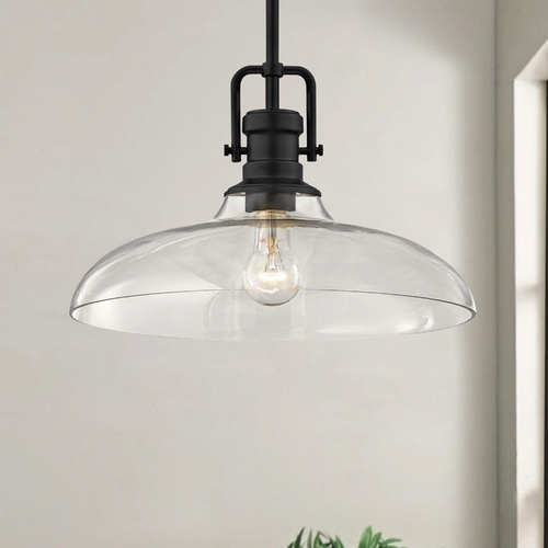 Industrial Clear Glass Pendant Light Black Finish 14-Inch Wide