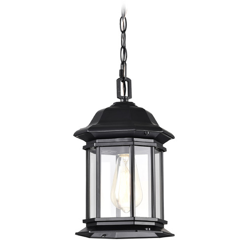 Hopkins Matte Black Outdoor Hanging Light by Nuvo Lighting