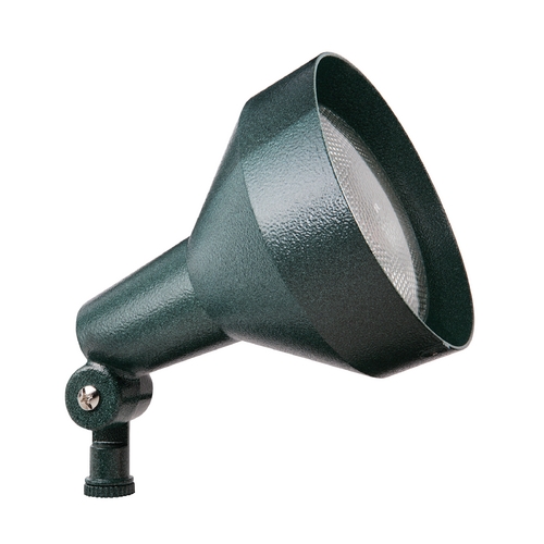 Flood / Spot Light in Verde Green - 150W by RAB Electric Lighting