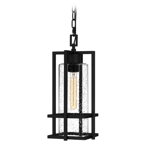 Damien Outdoor Hanging Light in Earth Black by Quoizel Lighting