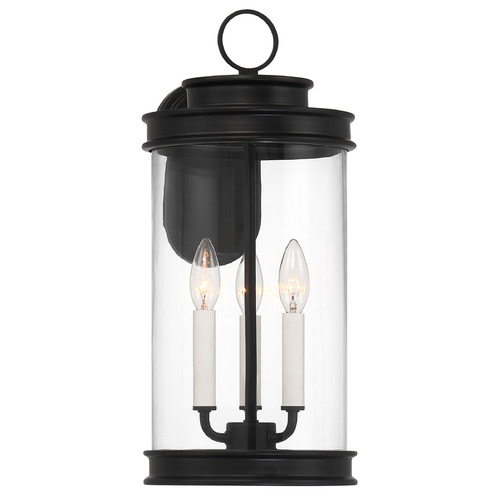 Savoy House Savoy House Lighting Englewood Matte Black Outdoor Wall Light 5-905-BK