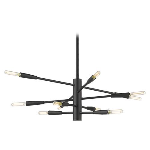 Z-Lite Ascension Matte Black Chandelier by Z-Lite 737-10MB