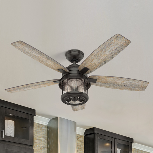 Hunter Fan Company Hunter 52-Inch Noble Bronze LED Ceiling Fan with Light with Hand-Held Remote 59420