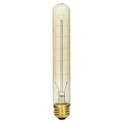 Satco Lighting Satco Vintage Style Carbon Filament T9 Incandescent Edison Bulb S2421
