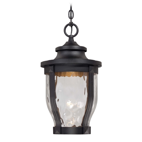 LED Outdoor Hanging Light with Clear Glass in Black by Minka Lavery