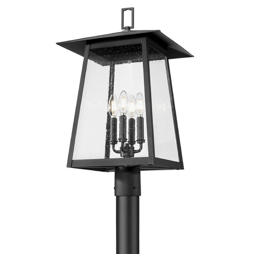 Z-Lite Rainer Black Post Light