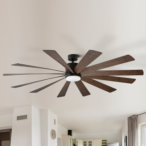 modern ceiling fans with lights