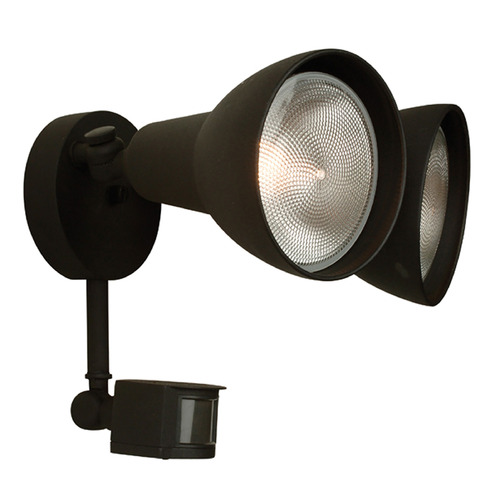 Flood Textured Black Security Light by Craftmade Lighting