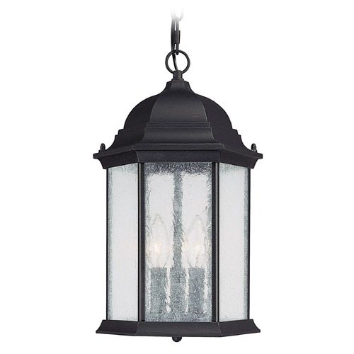 Main Street Outdoor Hanging Lantern in Black by Capital Lighting