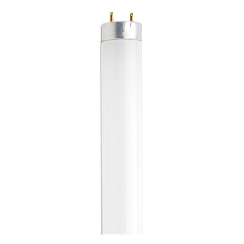 Satco Lighting 30W Bi-Pin Base T8 Fluorescent Bulb 3000K by Satco Lighting S6519