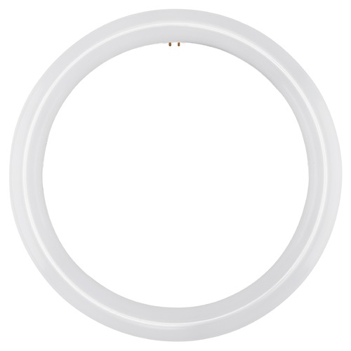 LED Circline 16W T9 3000K G10Q Base 120-277V Type B Ballast Bypass by Satco Lighting