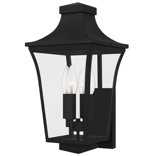 Quoizel Lighting Quentin Earth Black Outdoor Wall Light