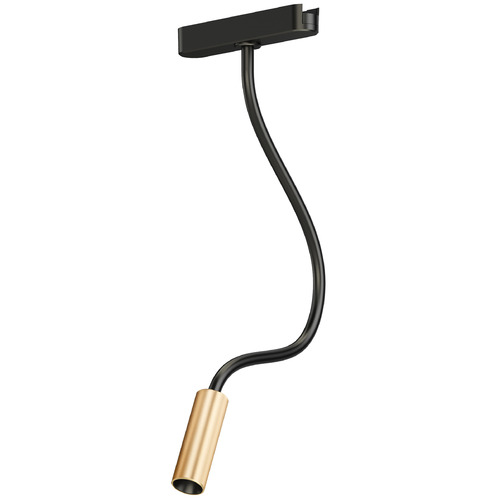 Continuum LED Reading Light Track Head in Black & Gold by ET2 Lighting