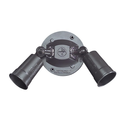 Adjustable Double Outdoor Wall Light in Black by Craftmade Lighting