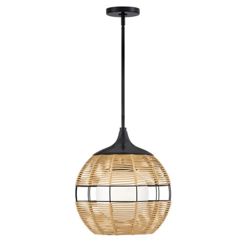 Hinkley Maddox Outdoor Pendant in Black with Light Natural by Hinkley Lighting 19677BK-NAT