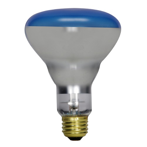 Satco Lighting Incandescent R30 Light Bulb Medium Base Dimmable S2852