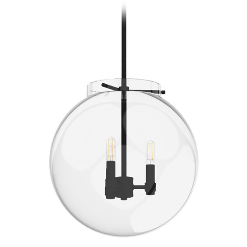 Hunter Fan Company Sacha Natural Black Iron Pendant Light with Globe Shade