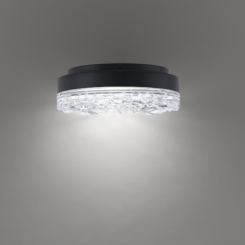 Bramble 12-Inch LED Crystal Flush Mount in Black by Schonbek Beyond