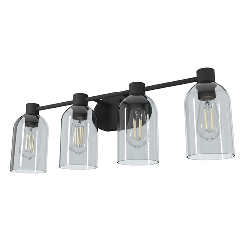 Hunter Fan Company Lochemeade Natural Black Iron Bathroom Light